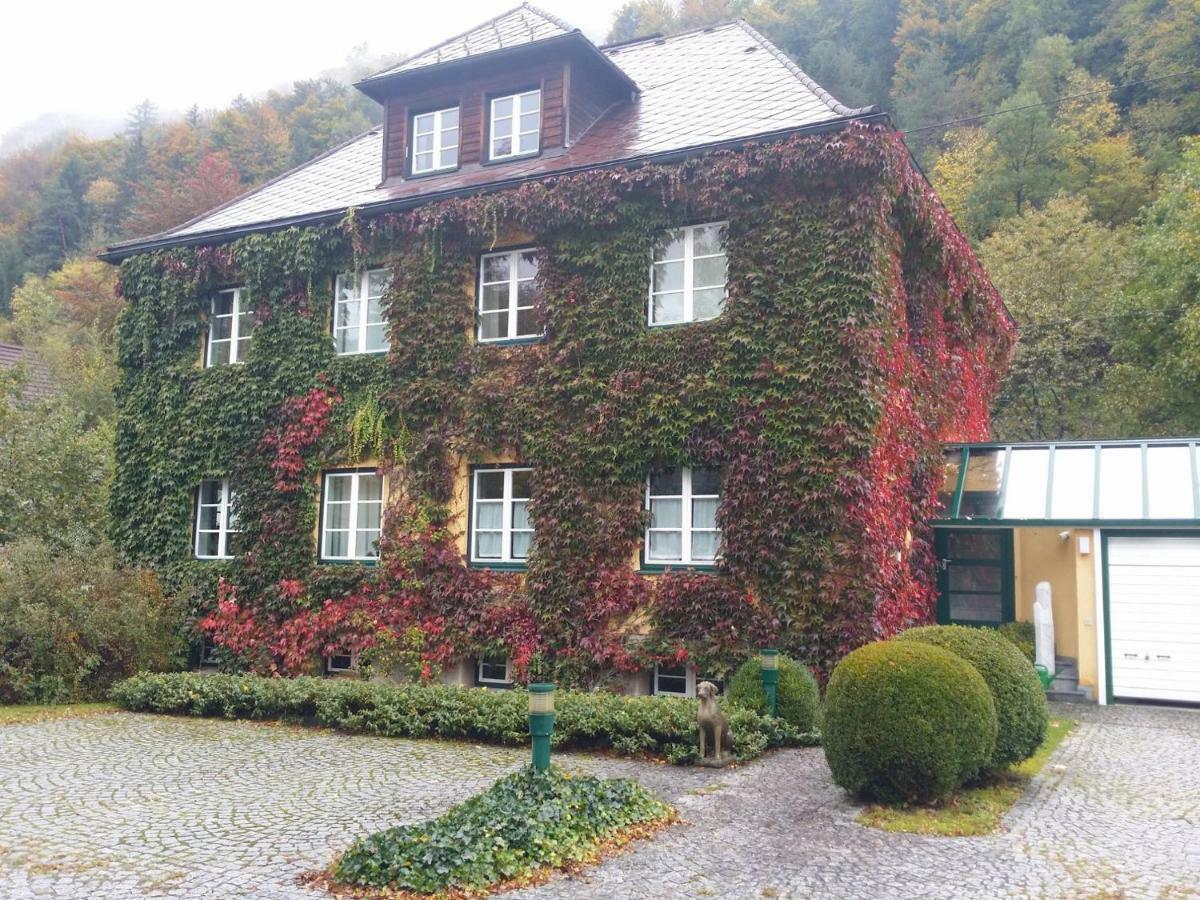 Gaestehaus Grogger Weyer Markt Eksteriør billede